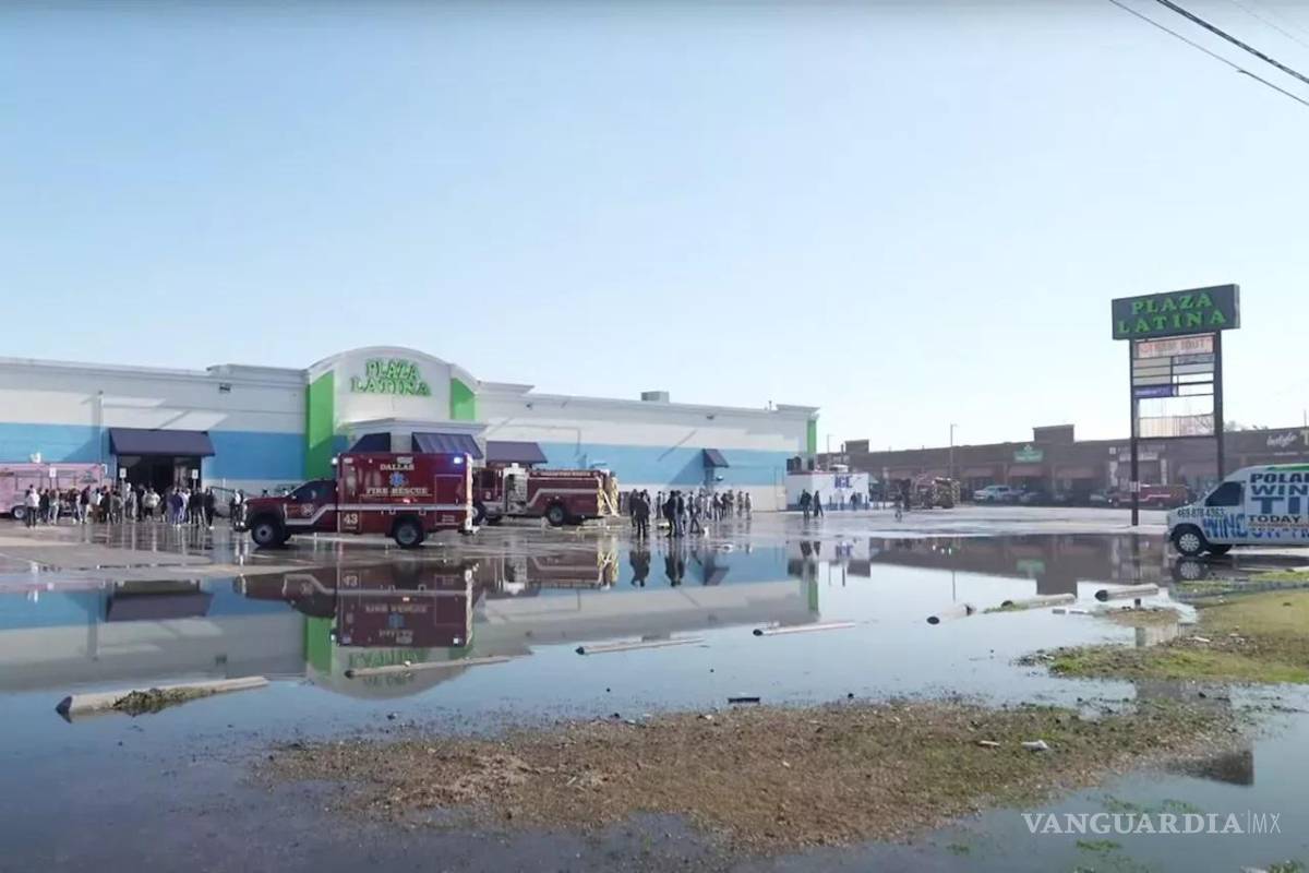 Mueren 579 animales tras incendio en centro comercial en Dallas