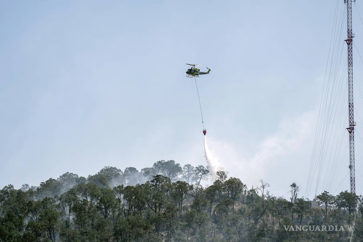 Avanza un 70 por ciento control del incendio forestal en El Tunal, en Arteaga (video)