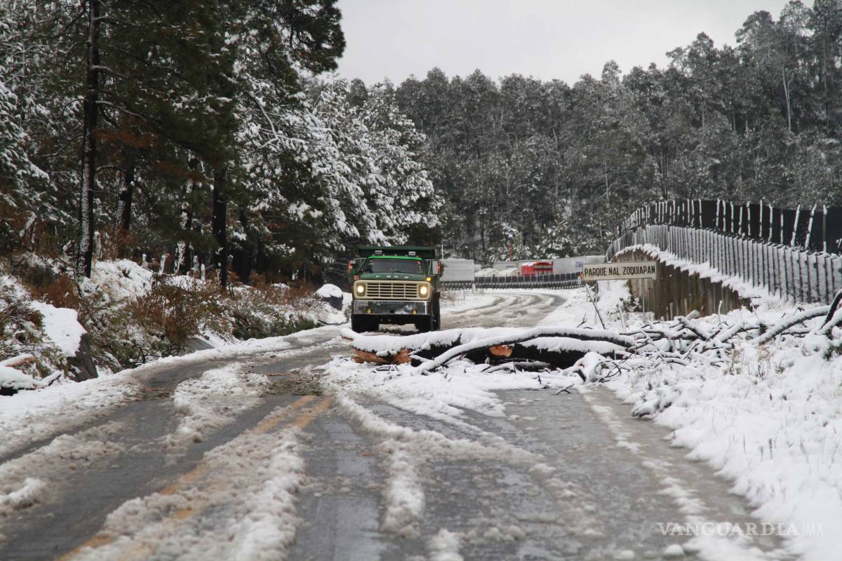 Policía Federal mantiene recorridos en carreteras del norte del país ante helada y nevadas