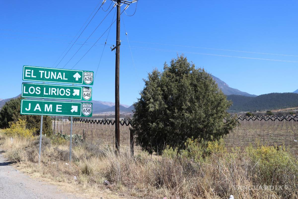 Prohíbe Arteaga talar árboles para Navidad; multas ascenderían hasta un millón 200 mil pesos