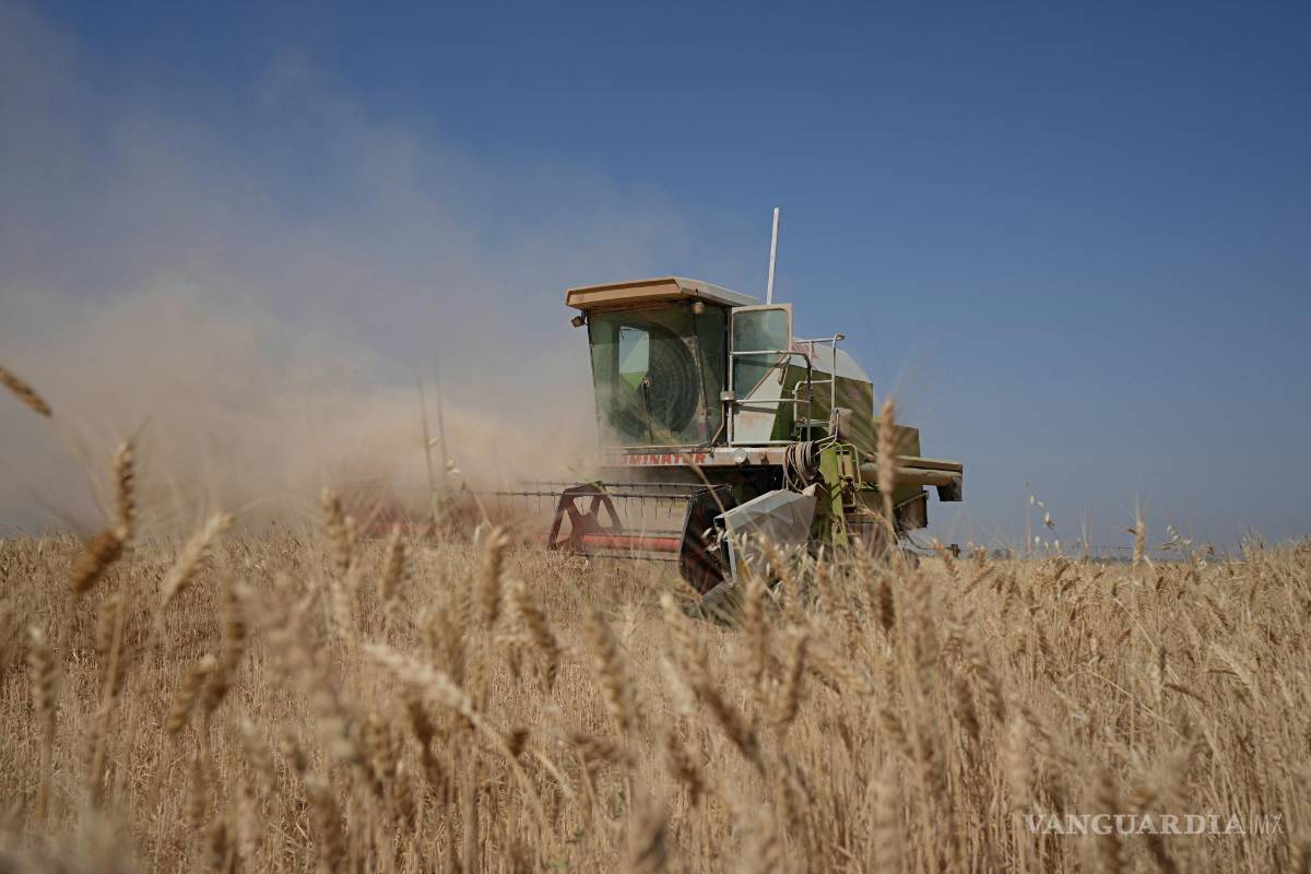 Afecta a millones ‘efecto dominó’ por guerra rusa