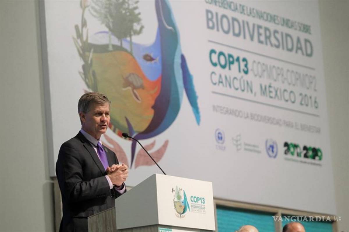 COP13: Más de 190 países buscan proteger la biodiversidad