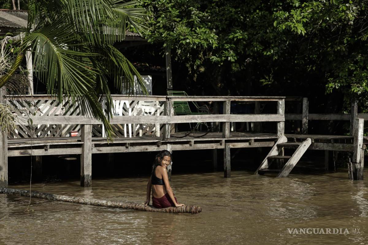 $!Fotografía de la floresta Amazónica en el estado de Pará, norte de Brasil.
