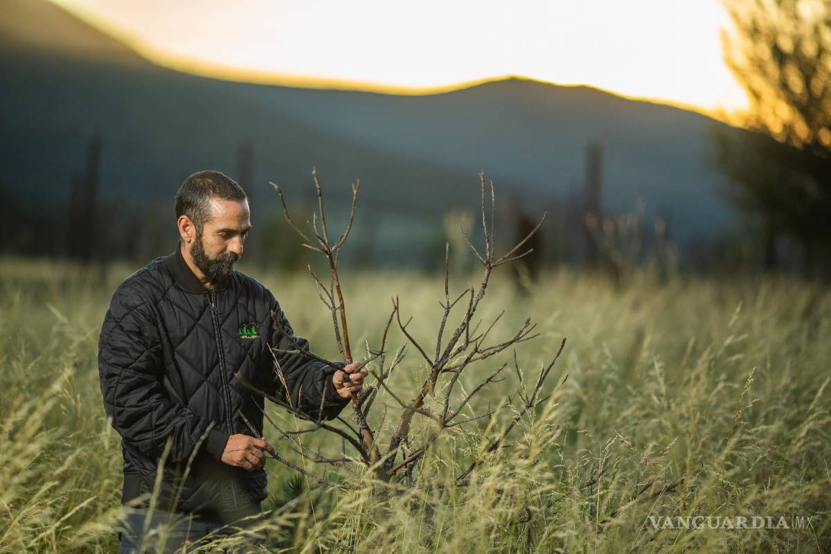 David Valladares: A proteger la sierra