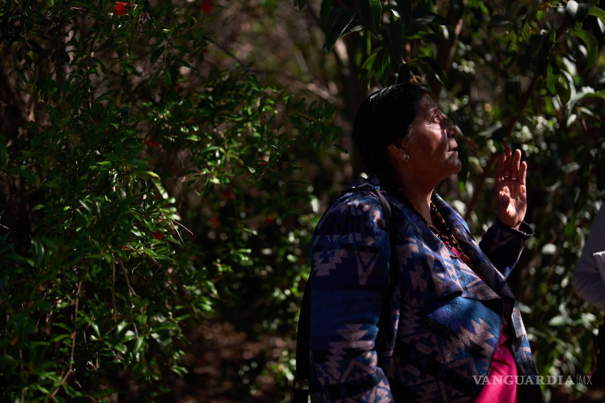 $!Norma Meza Calles dirige una visita guiada sobre los usos tradicionales de las plantas locales por parte del pueblo Kumeyaay en un centro de bienestar en Tecate.