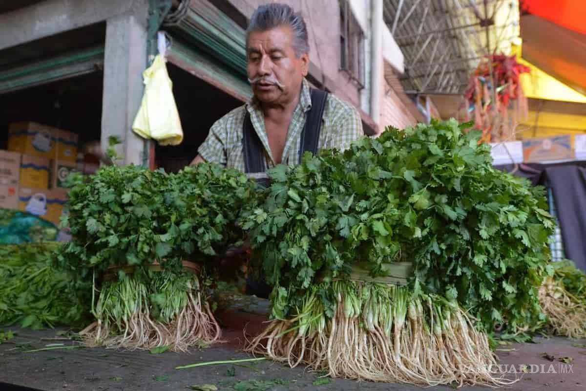 Cilantro por las nubes... ¡se vende hasta en 800 pesos el manojo! y no es el único, también sube el aguacate, chayote y la lechuga