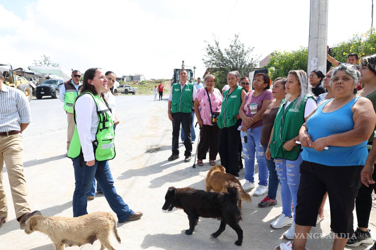 $!Los trabajos incluyen nivelación, compactación y colocación de carpeta asfáltica en calles de la colonia Las Margaritas.