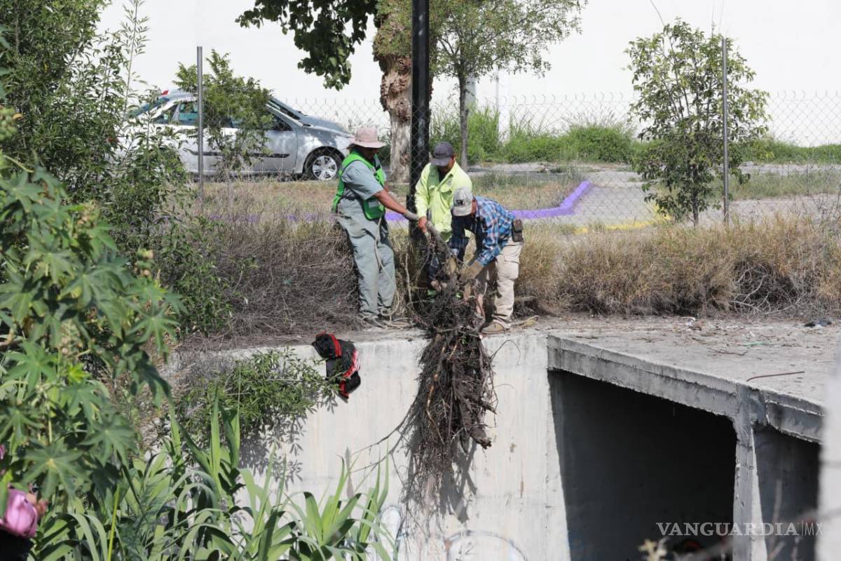 $!Los trabajos de limpieza se realizaron en el cruce del arroyo Charquillo con el bulevar José María Rodríguez.