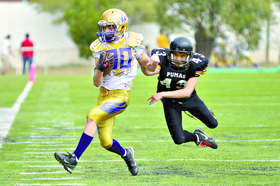 Águilas de Saltillo vuelan a la final