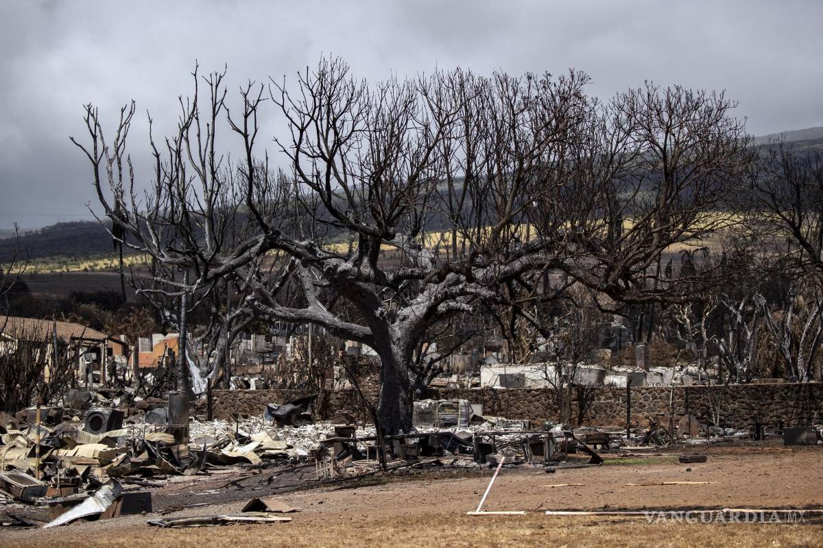 El pueblo determinará reconstrucción de zonas afectadas por incendios, dice gobernador de Hawaii; van 114 muertos