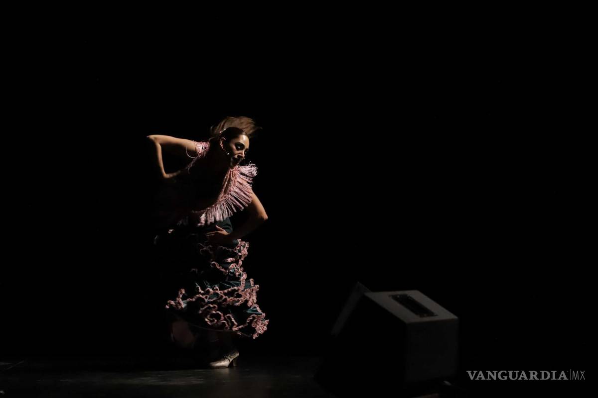 $!La bailaora Viviana Villareal fundió sus pasos y se convirtió en música.