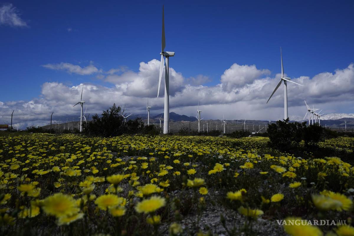 Prevé industria crecimiento veloz de la energía eólica a nivel mundial en 2023