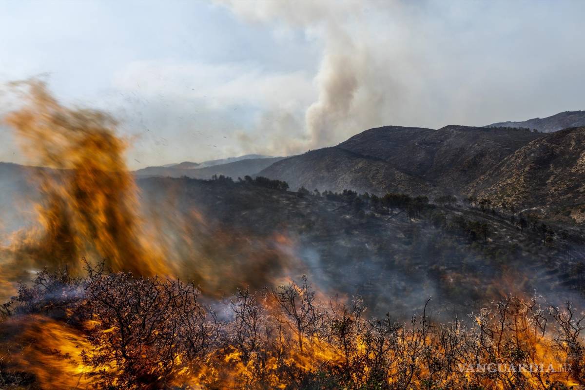 Amenaza temporada de incendios a Cataluña ante calor histórico y sequía
