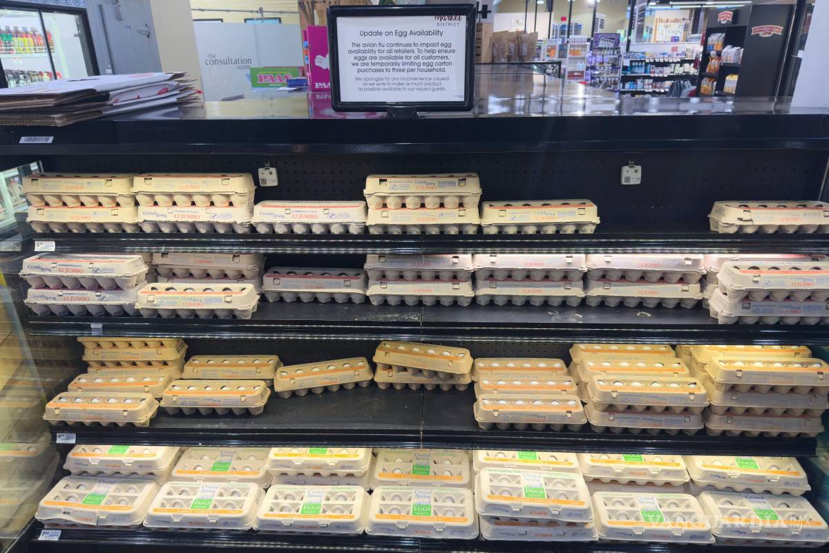 $!El Departamento de Agricultura intentó conseguir huevos importados para aumentar el suministro y se trajeron al país casi 4 millones de docenas de huevos.