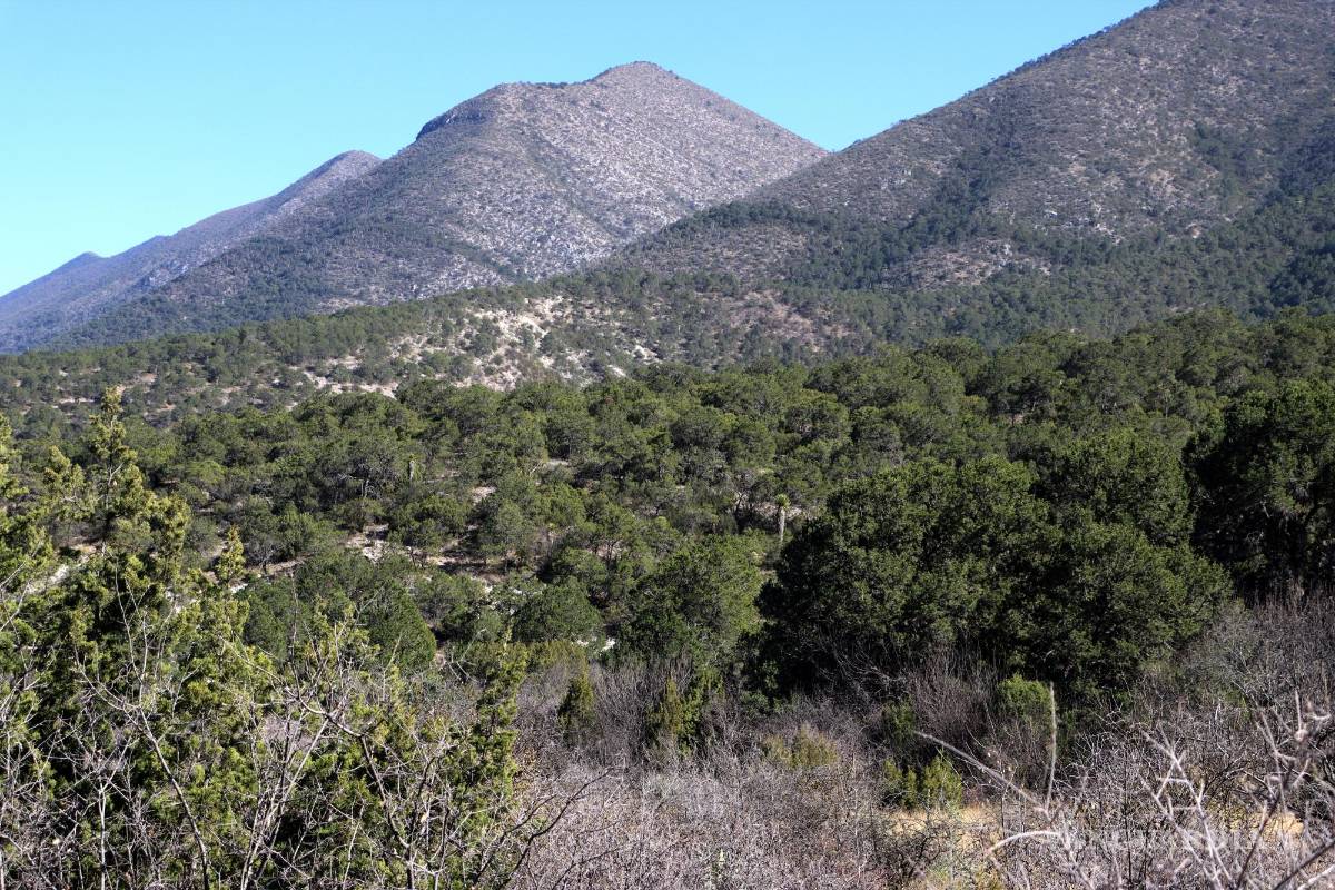 Escasean puntos de revisión en acceso a cañones de Arteaga para prevención de incendios