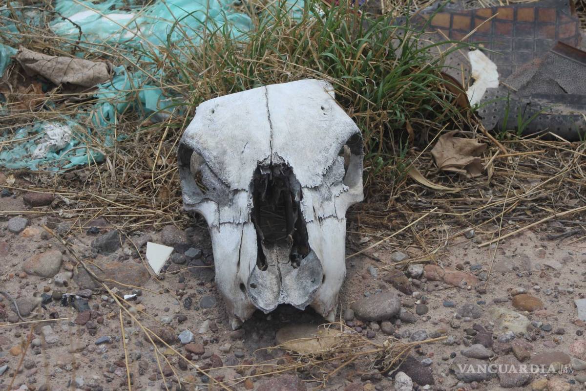 $!Convierten en basurero el lecho seco del Nazas