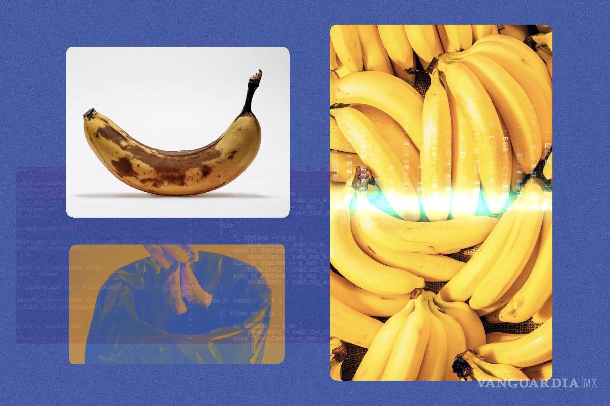 Así es como la inteligencia artificial espía la comida que tiramos a la basura