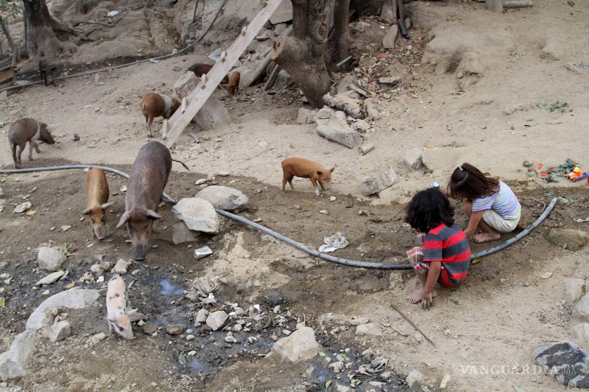 $!México gasta en sus niños de 0 a 5 años menos que Guatemala y Honduras: Unicef y Coneval