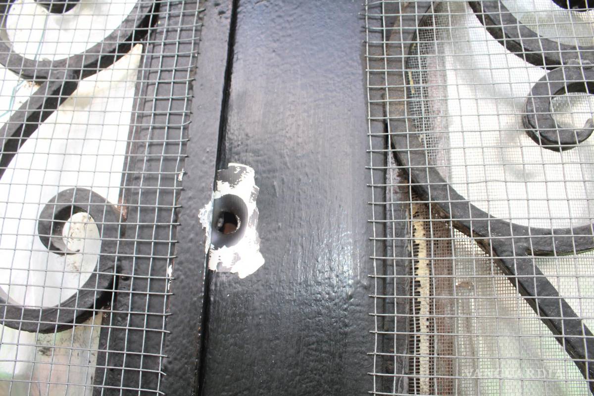 Saltillo: pelea entre pandillas deja daños en vivienda por balacera en la Bellavista