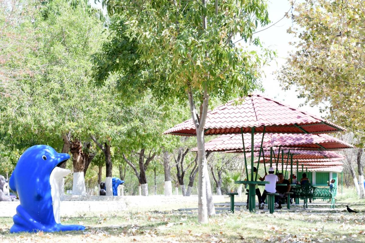 $!Zoológico de Monclova podría convertirse en una sucursal del Museo del Desierto