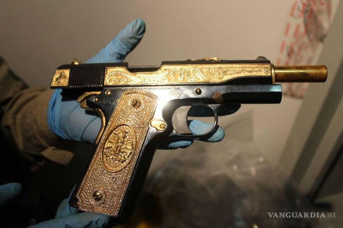 Aseguran militares aves exóticas y pistolas de oro en casa en Nuevo León