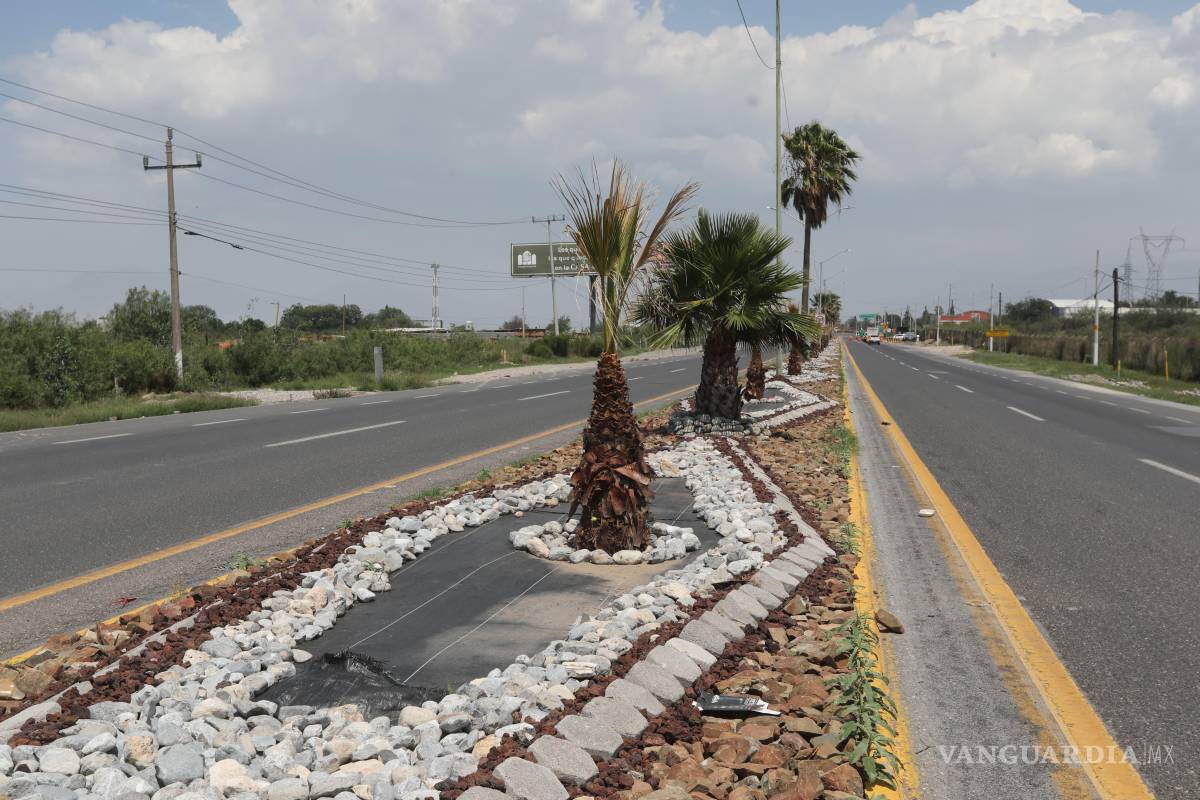 Embellece Saltillo sus accesos y colonias con acciones integrales de limpieza, reforestación y rehabilitación urbana