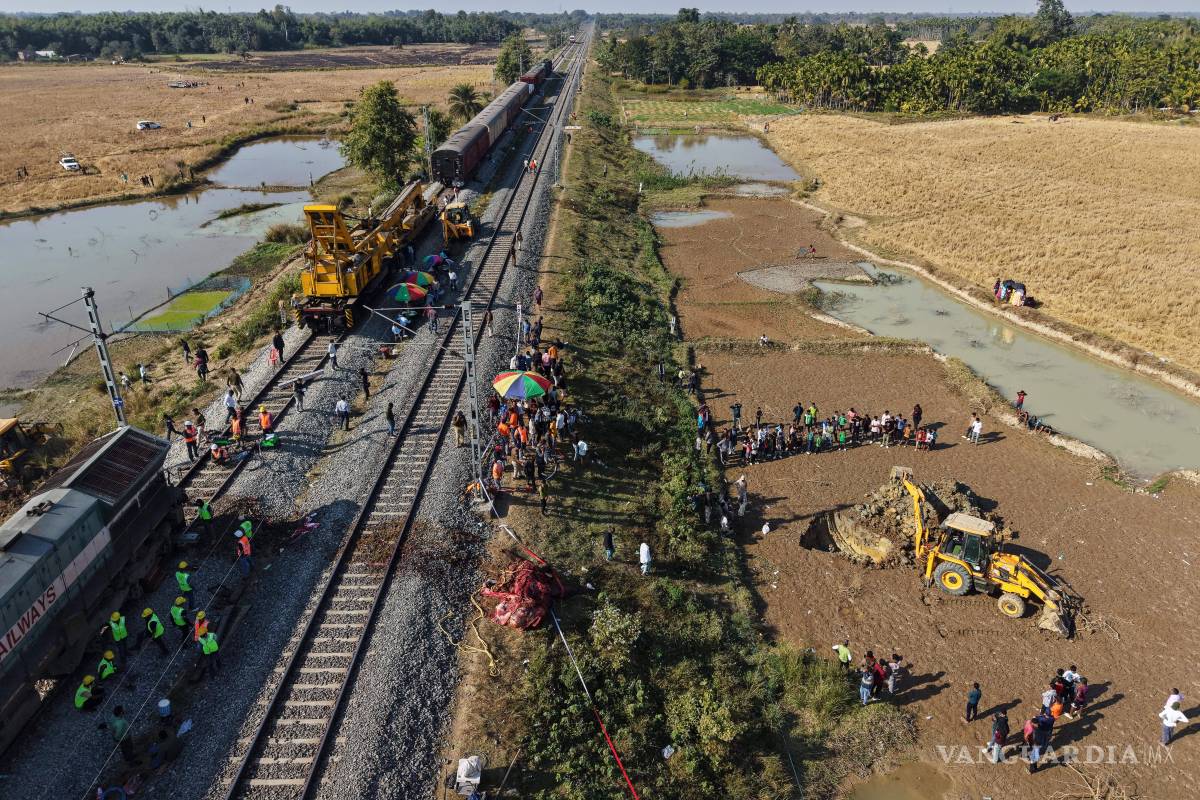 Tren de alta velocidad embiste y mata a 7 elefantes que cruzaban vías en noreste de India