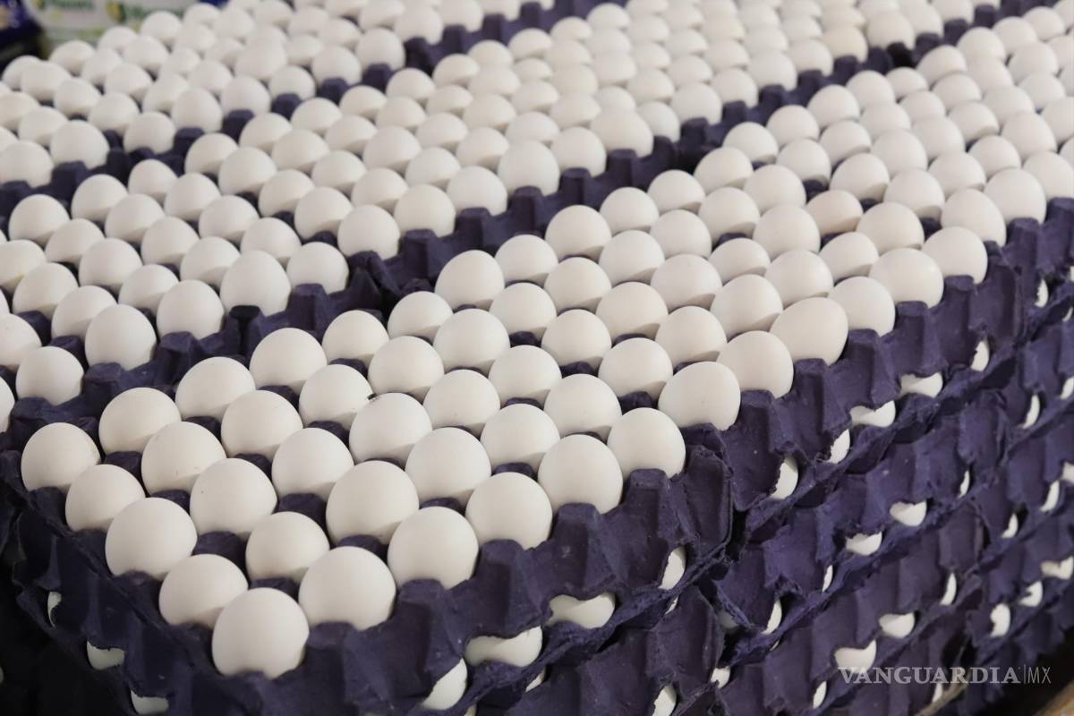 Sigue inflación en Saltillo: tapa de huevo alcanza los 90 pesos