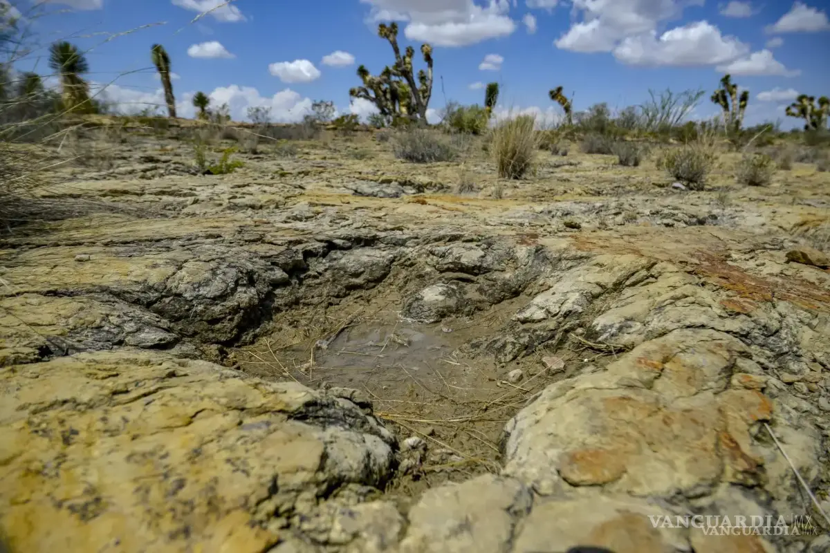 $!El sitio paleontológico se encuentra rodeado por el paisaje característico del Desierto Chihuahuense.