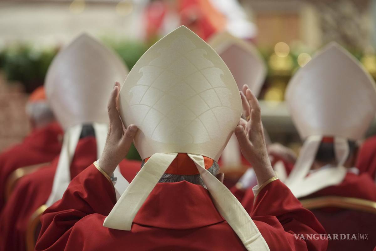 Varios cardenales abogan por continuar el legado del Francisco