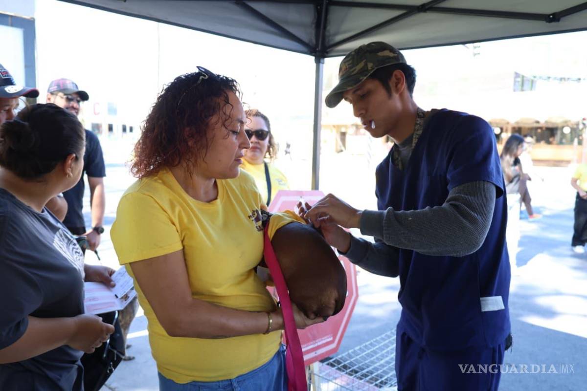 $!Mascotas recibieron vacunación antirrábica y desparasitación.