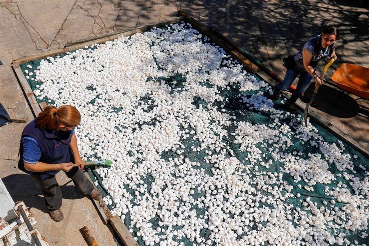 Uno de los ríos más contaminados de México lo están limpiando con cascarones de huevo