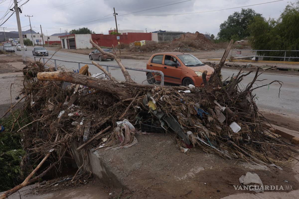 $!Protección Civil estatal reiteró recomendaciones para evitar riesgos ante nuevas lluvias, como asegurar techos y no refugiarse bajo árboles