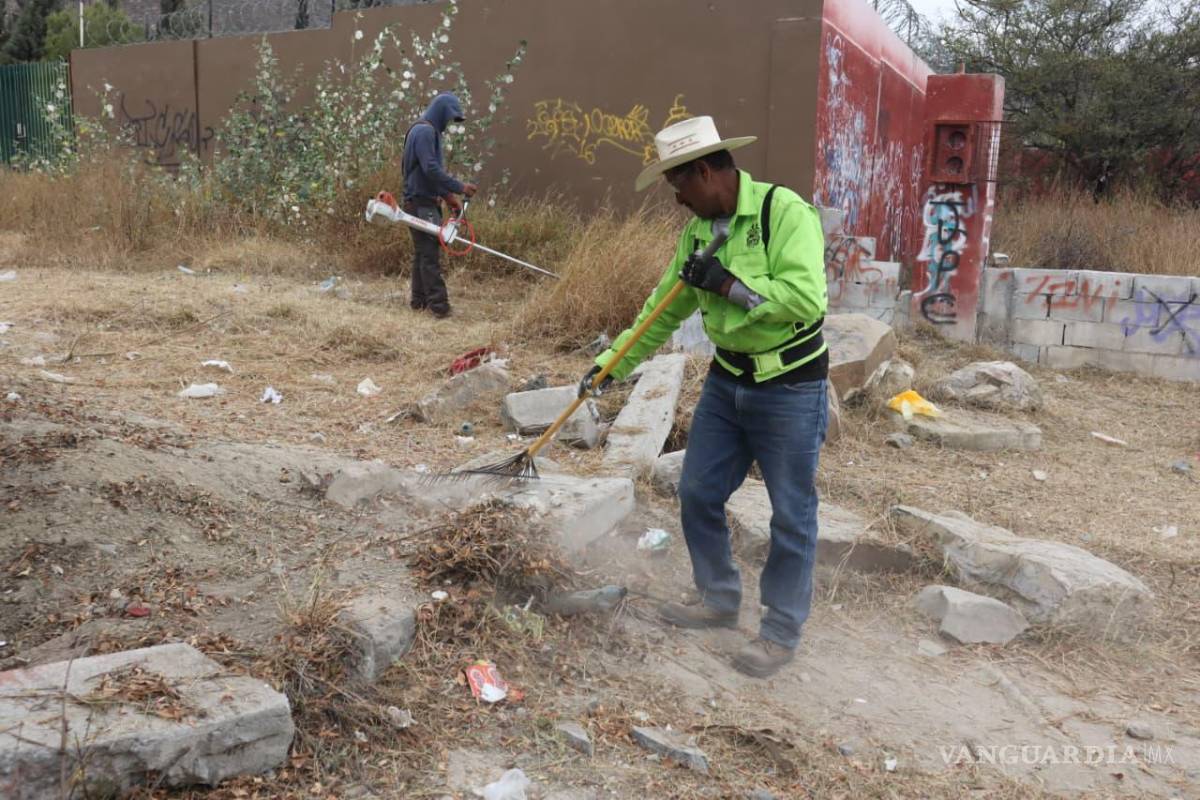 $!El Gobierno destacó que estas tareas ayudan a prevenir plagas, eliminar riesgos y mejorar la visibilidad dentro del parque.