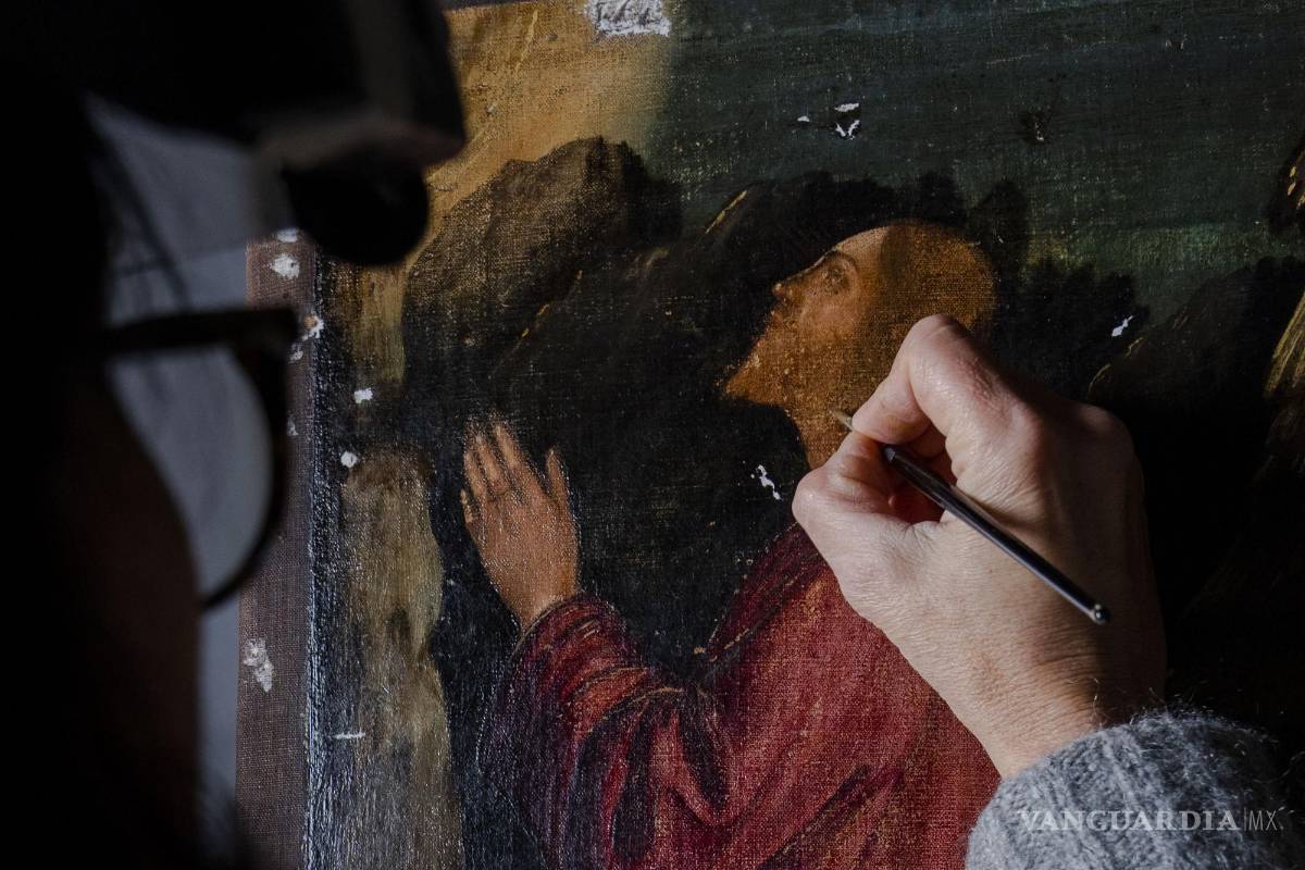 Renacentista Vittore Carpaccio es ensalzado en exhibiciones en Italia y Estados Unidos