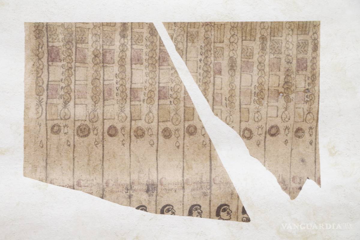 Codex Bornensis Gaditanensis: un descubrimiento que explica el mestizaje colonial