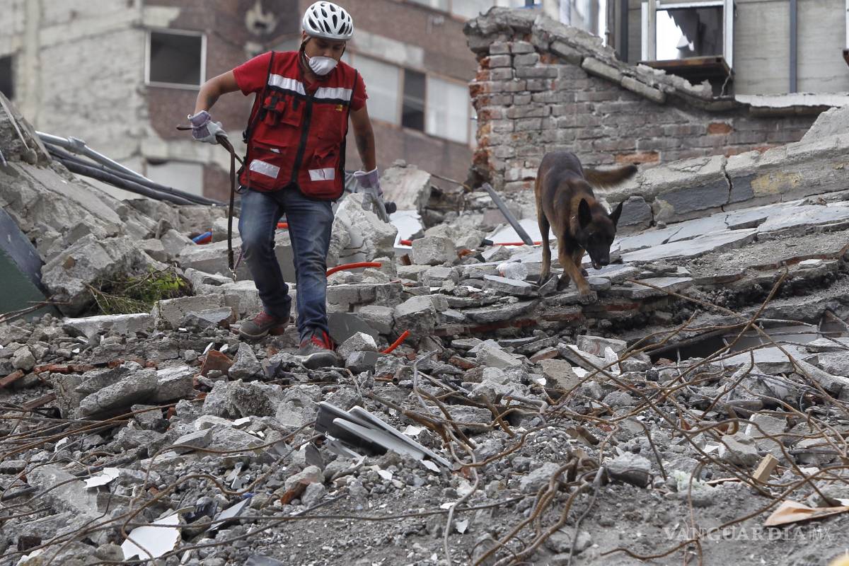 $!'Chi Chí, un héroe sin capa (binomio canino de Saltillo experto en rescates)