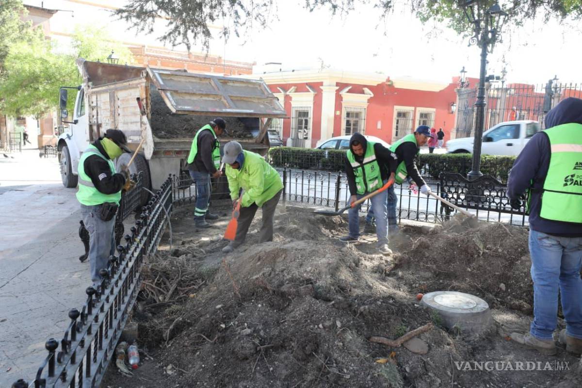 $!Las labores buscan mejorar la imagen urbana y conservar espacios públicos emblemáticos de la ciudad.