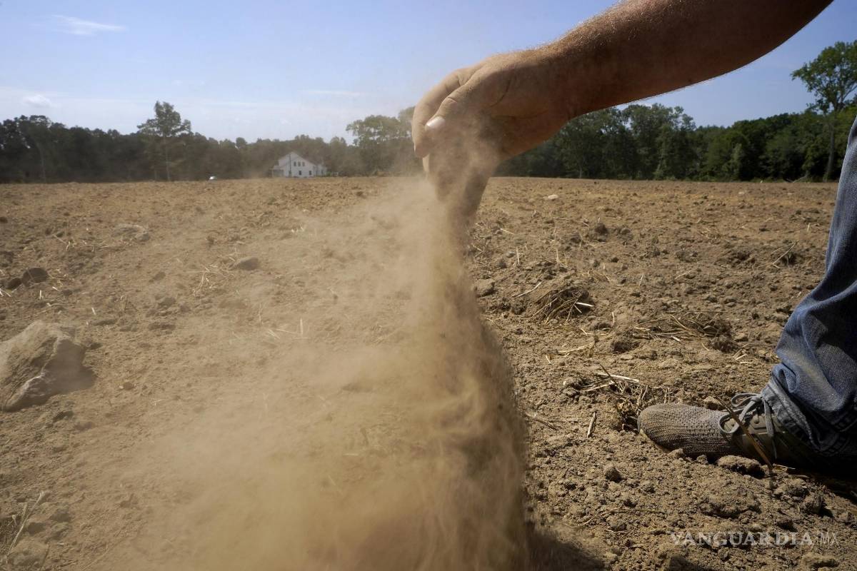 Declara Estados Unidos zona de desastre por sequía al noreste