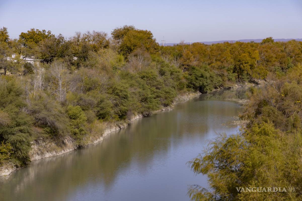 $!El Pinabete, ¿otro pasivo ambiental?
