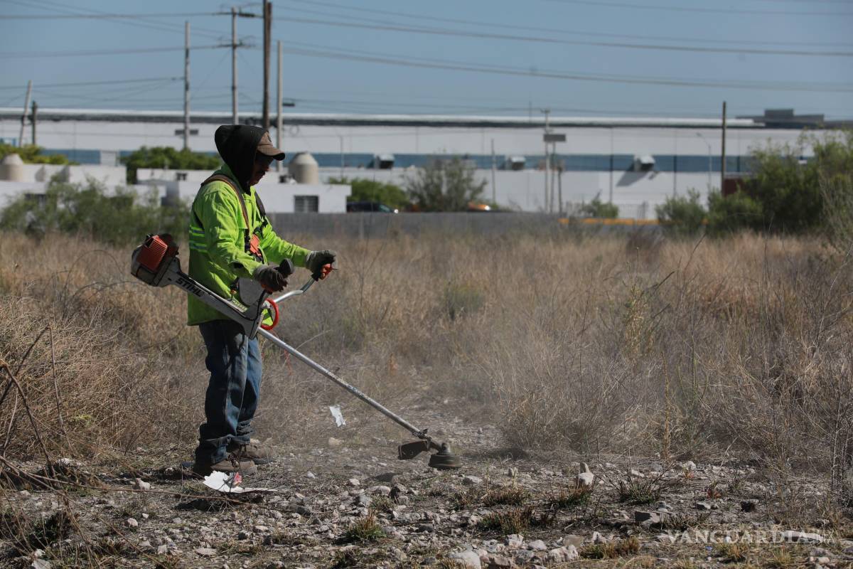 $!En la colonia Valle de los Almendros, trabajadores realizaron deshierbe y retiro de basura en zonas aledañas al arroyo y canal pluvial.