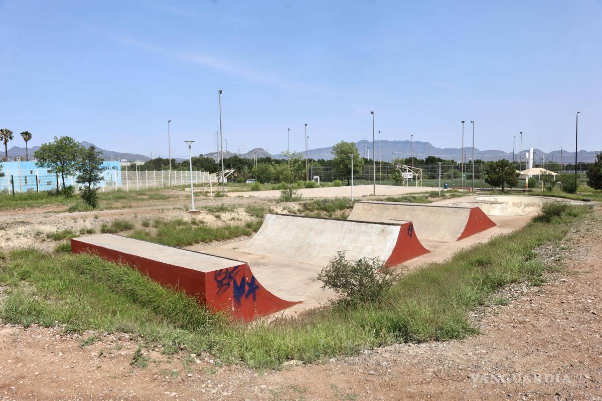 $!Las labores de limpieza y deshierbe se intensificaron en el área ubicada dentro del Nuevo Centro Metropolitano de Saltillo.