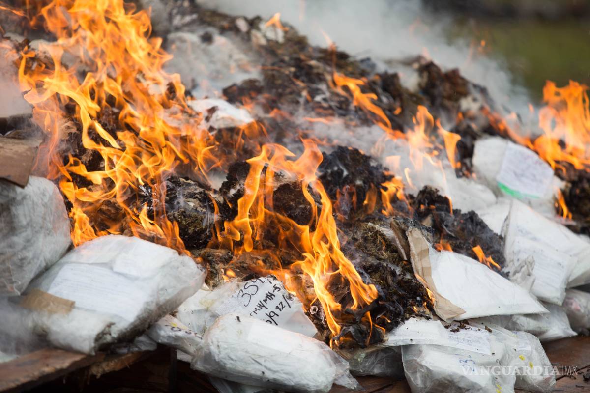 Aumentan delitos contra la salud, según cifras del SESNP