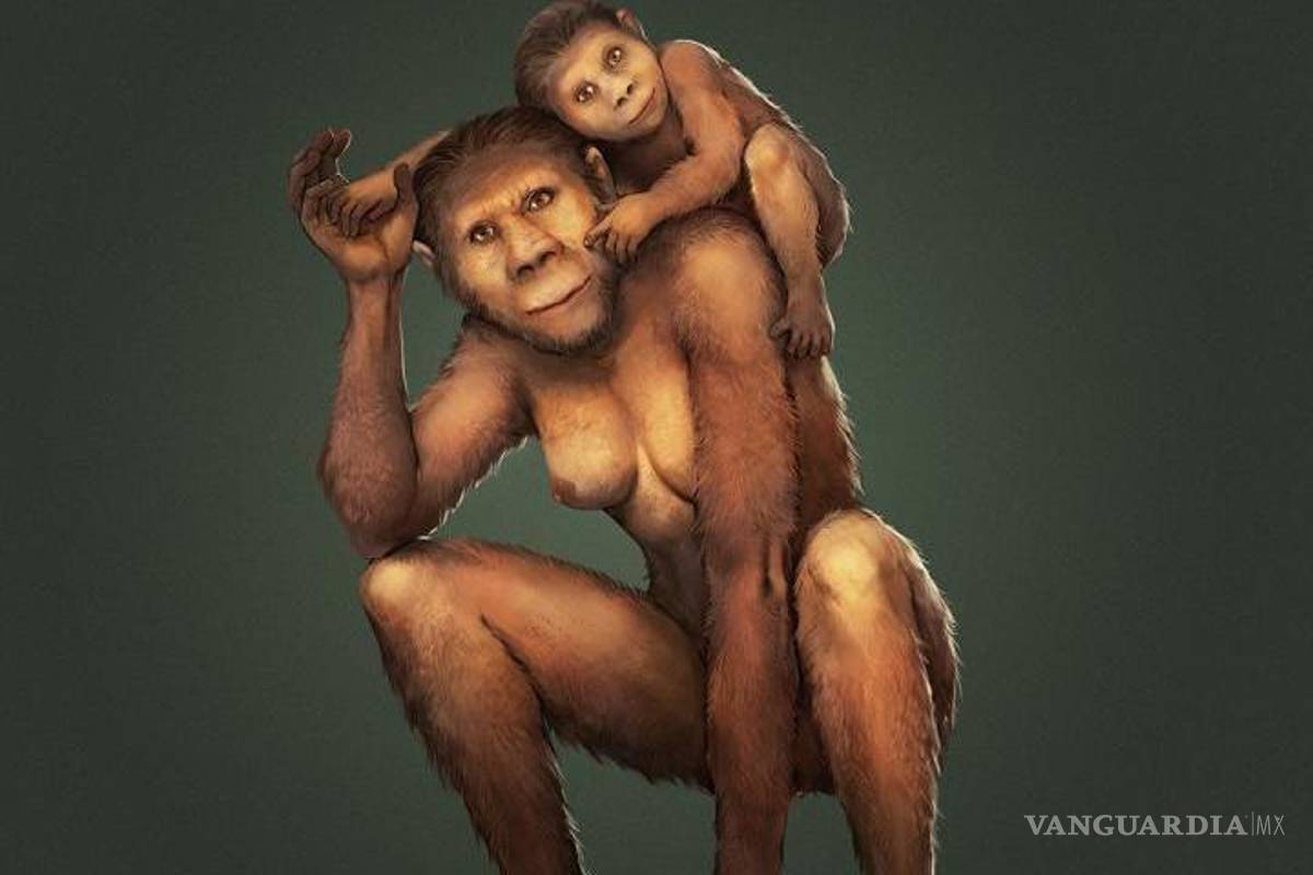 $!Las mamás Australopithecus africanus amamantaron durante el primer año de vida a sus hijos, según un estudio