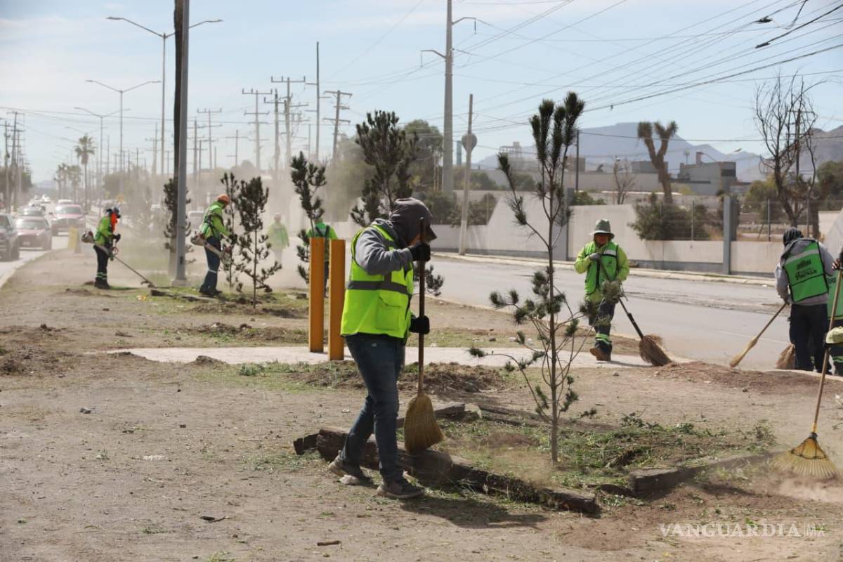 $!Personal municipal efectuó poda y deshierbe en camellones para reforzar la visibilidad y la seguridad vial.