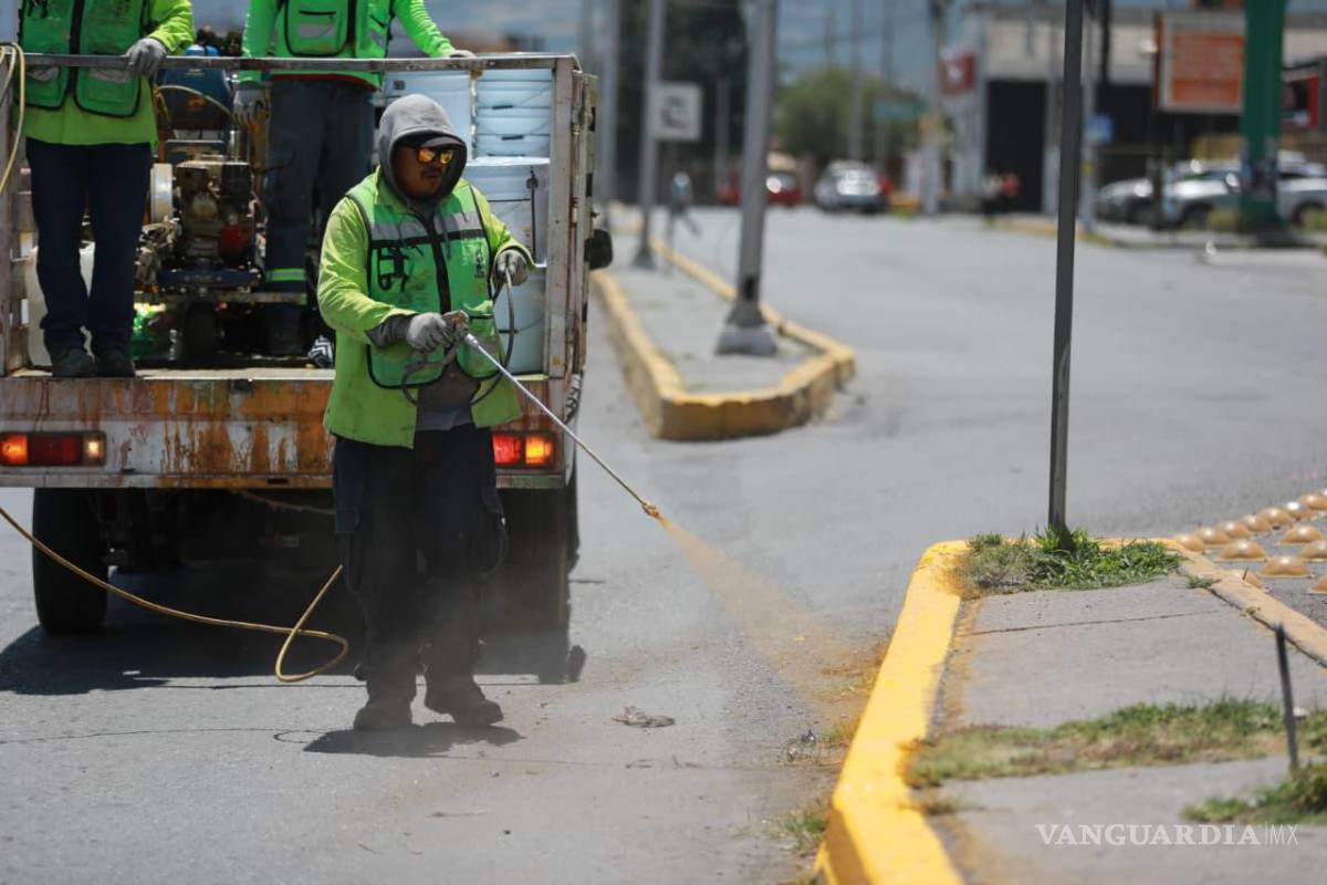 $!La Dirección de Servicios Públicos estuvo a cargo de estas labores.