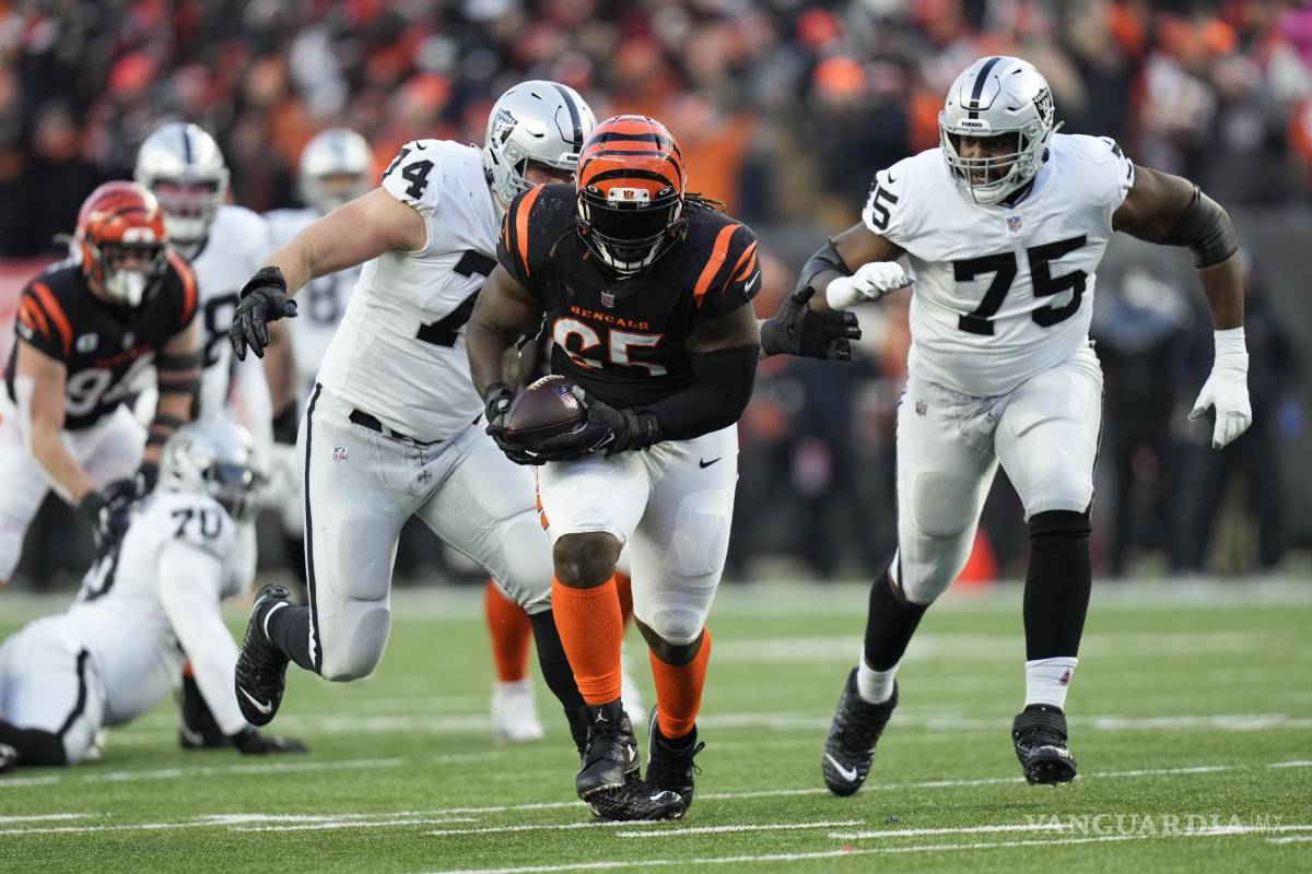 Bengals pierde a Ogunjobi por el resto de los playoffs