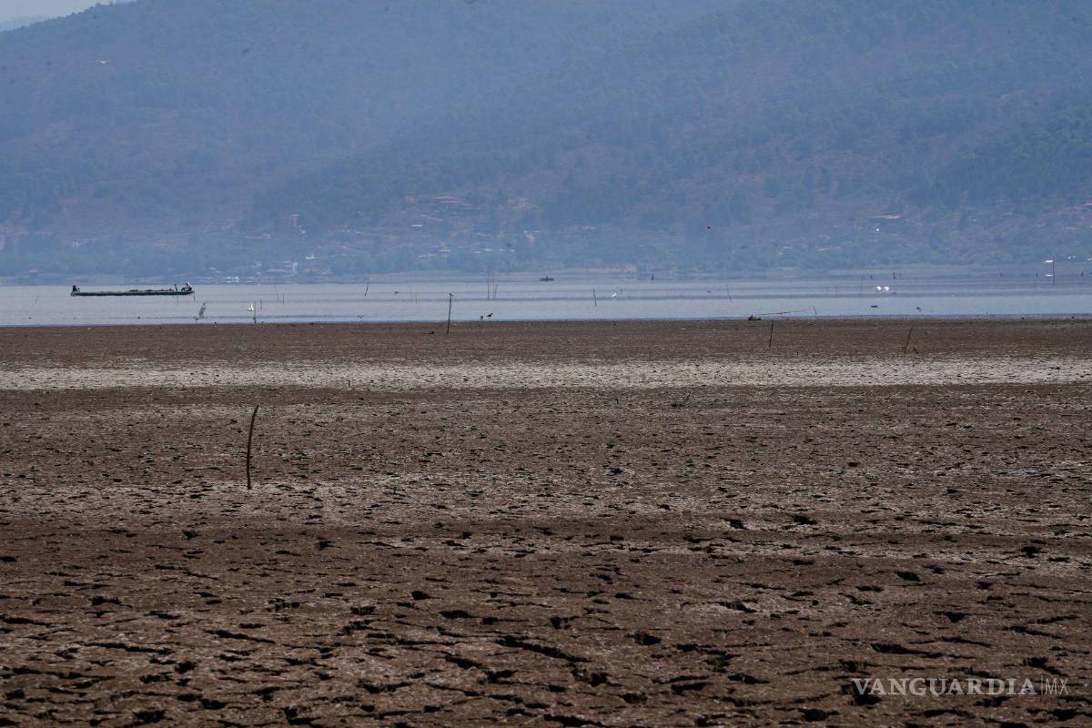$!El lago de Pátzcuaro enfrenta una sequía nunca vista debido al robo de agua, la deforestación, el descuido histórico y la siembra irregular de aguacates y frutos.