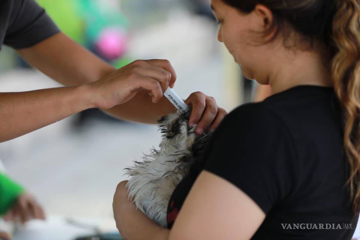 $!Las mascotas también disfrutaron de la Ruta Recreativa, donde se ofrecieron servicios de vacunación antirrábica y desparasitación.