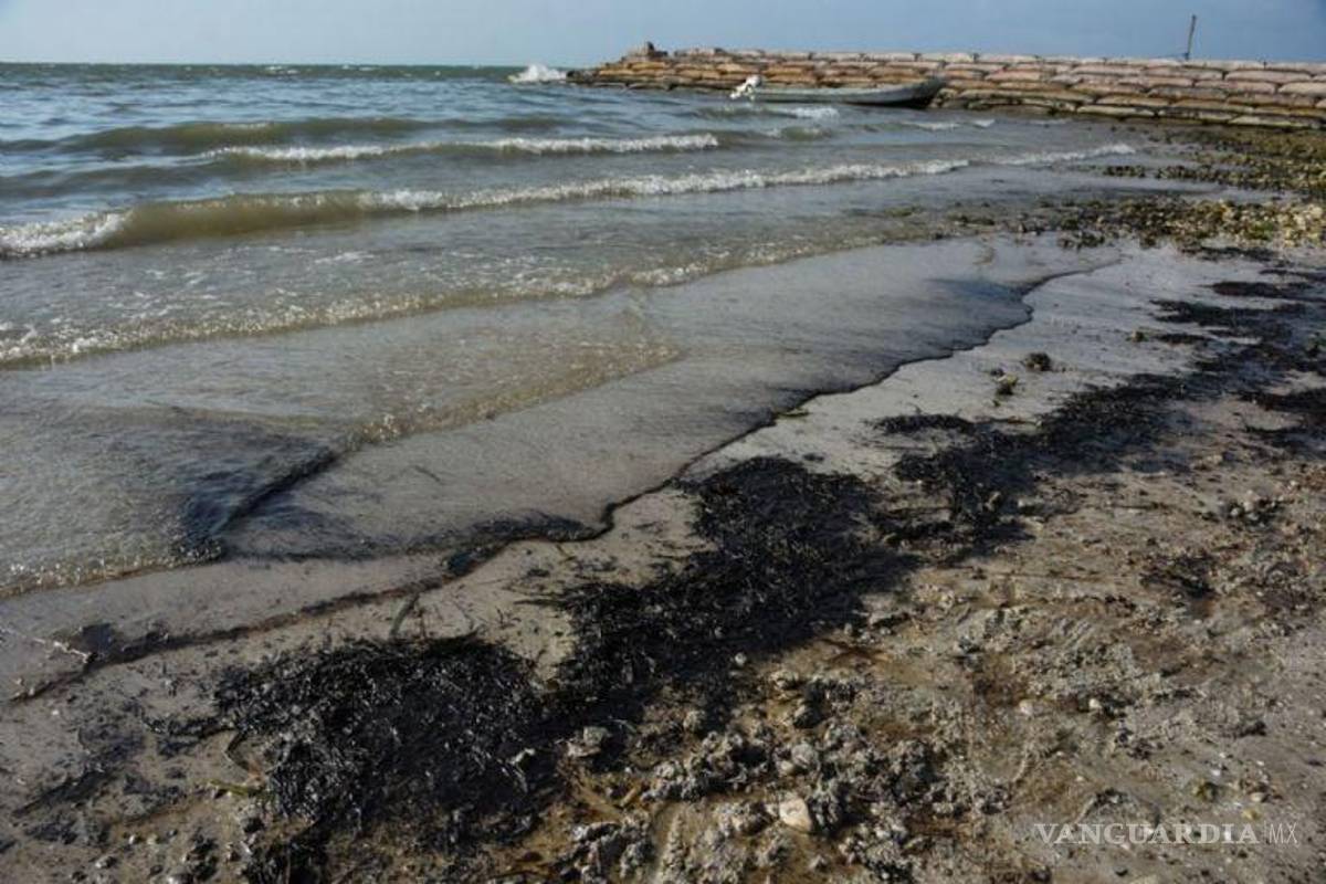 Chapopoteras no son culpables de derrame en Ek Balam, aseguran ambientalistas